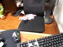 Amateur Live Sex of Lee_lee