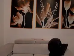 Amateur Live Sex Cam of LiamCarter