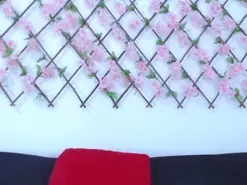 Amateur Watch Live Sex Cams of tiffany_gomez9