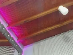 Amateur Free Porn Cam of PaulinaFogoza