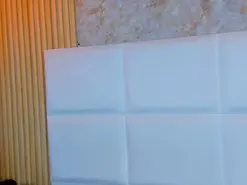 Amateur Live Porn of AlexaGracehl
