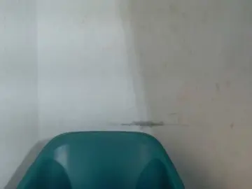 Bongacams Adult Webcams of Sugarxpussy