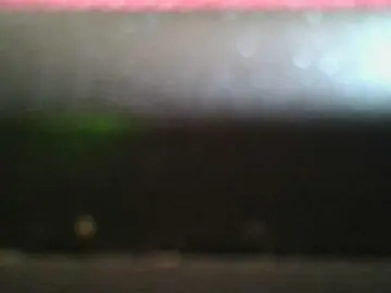 Bongacams Sex Cam of kinkydolll