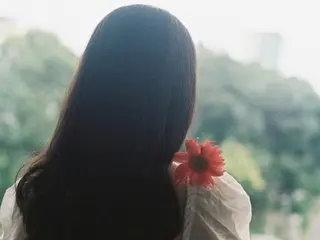 Wink-WeiWei