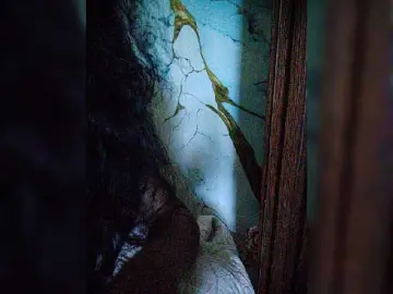 Bongacams Live Sex of XXhornywetprincess99XX