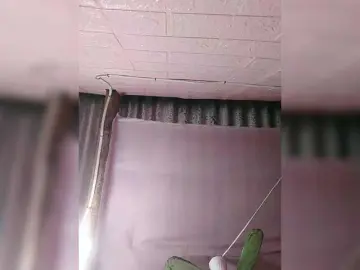 Bongacams Sex Cam of XXhornywetprincess99XX