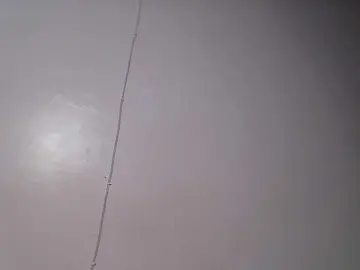 Bongacams Adult Webcam of nudevelvet