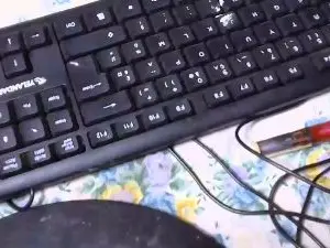 Cam4 Sex Chat of Egracia