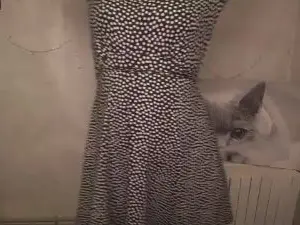 Cam4 Private Sex Chat of MariaSmilee_