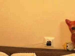 Cam4 Live Sex Cam of CicelySmeja