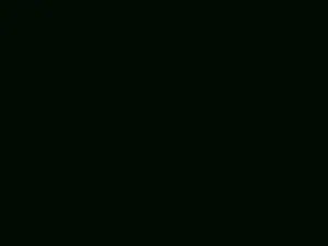 Cam4 Adult Webcam of Aria_SP