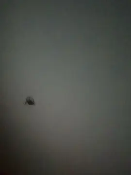 Cam4 Sex Cam of Sharil