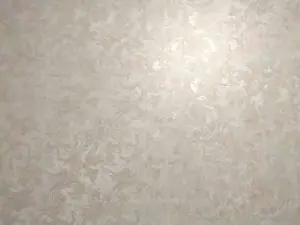 Cam4 Nude Webcam of AlissaToot