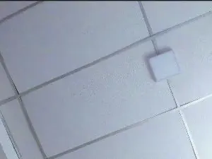 Cam4 Watch Live Sex Cams of emilyy__rosse