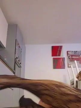Cam4 Sex Cam of sharon_nikol