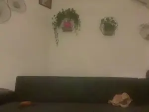 Cam4 Watch Live Sex Cams of Mf686868