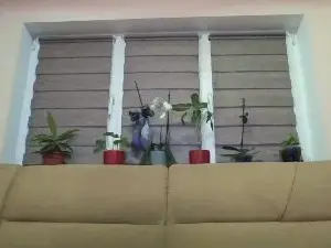 Cam4 Live Porn of have_funnn