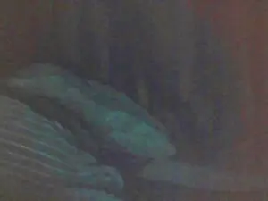 Cam4 Live Sex of cutie_pie_hot
