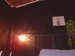 Cam4 Free Live Porn of nikkystorm