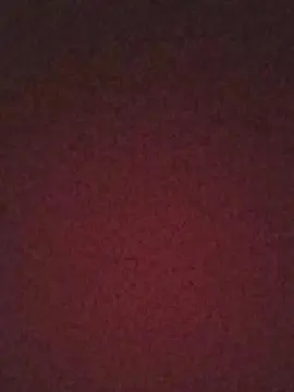 Cam4 Adult Video Chat of candyy18