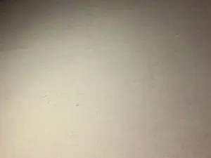 Cam4 Live Sex Cam of Javierapalacios