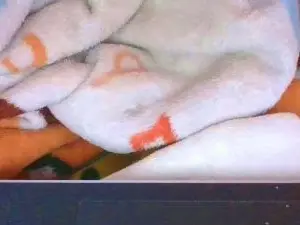 Cam4 Live Sex Cam of Phaniah