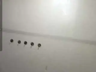 Camsoda Live Sex Cam of rethaklobucar
