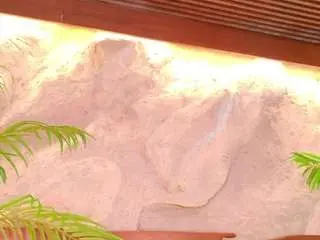 Camsoda Live Sex of alison-mooon