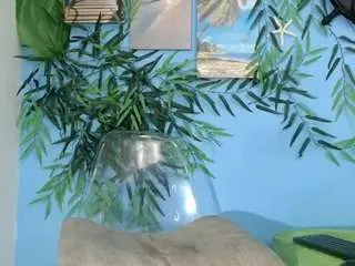 Camsoda Private Sex Chat of skinnysofia18