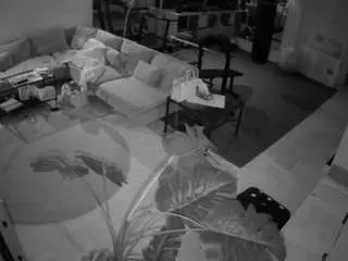 Camsoda Sex Cam of voyeurcam-julmodels-living-2