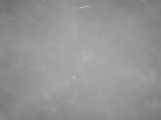 Camsoda Watch Live Sex Cams of voyeurcam-casa-salsa-pool-1