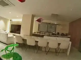 Camsoda Sex Cam of voyeurcam-casa-salsa-fishtank