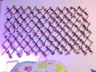 Camsoda Private Sex Chat of naughtyebonyy
