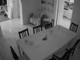 Camsoda Nude Webcam of voyeurcam-julmodels-dining
