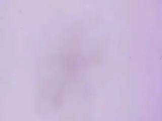 Camsoda Sex Chat of sienafox