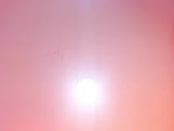 Chaturbate Live Sex Cam of gigy_deluxe