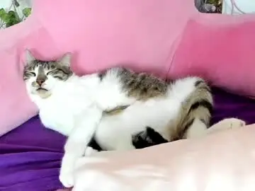Chaturbate Sex Cam of lily_holy69