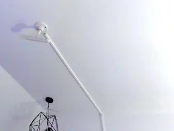 Chaturbate Free Porn Cam of halie728