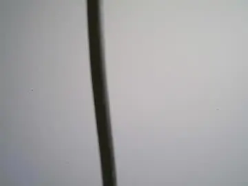 Chaturbate Best live sex cam show of black_tentationx