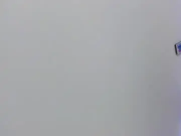 Chaturbate Live Sex of velvet_giirll