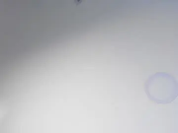 Chaturbate Live Sex of isabella_roses_
