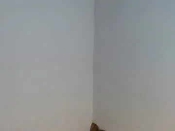 Chaturbate Live Sex Cam of isabell2207