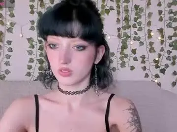 Chaturbate Adult Webcam of mistyverse