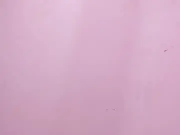 Chaturbate Watch Live Sex Cams of mia_tailor_bms