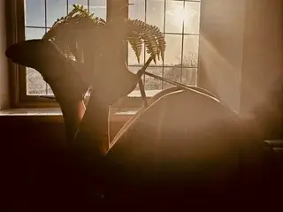 Streamate Free Live Porn of KatieCarterX
