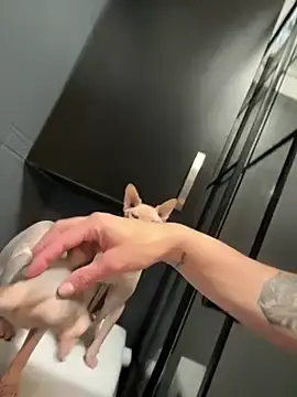 Stripchat Best live sex cam show of RedAssHottie
