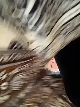 Stripchat Free Porn Cam of angelitasexy81