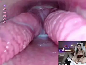Stripchat Adult Webcam of AYW-21