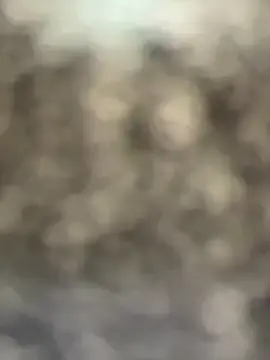 Stripchat Watch Live Sex Cams of AllaTousNew