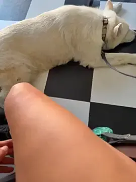 Stripchat Live Sex of Bigbuttbrooklynn
